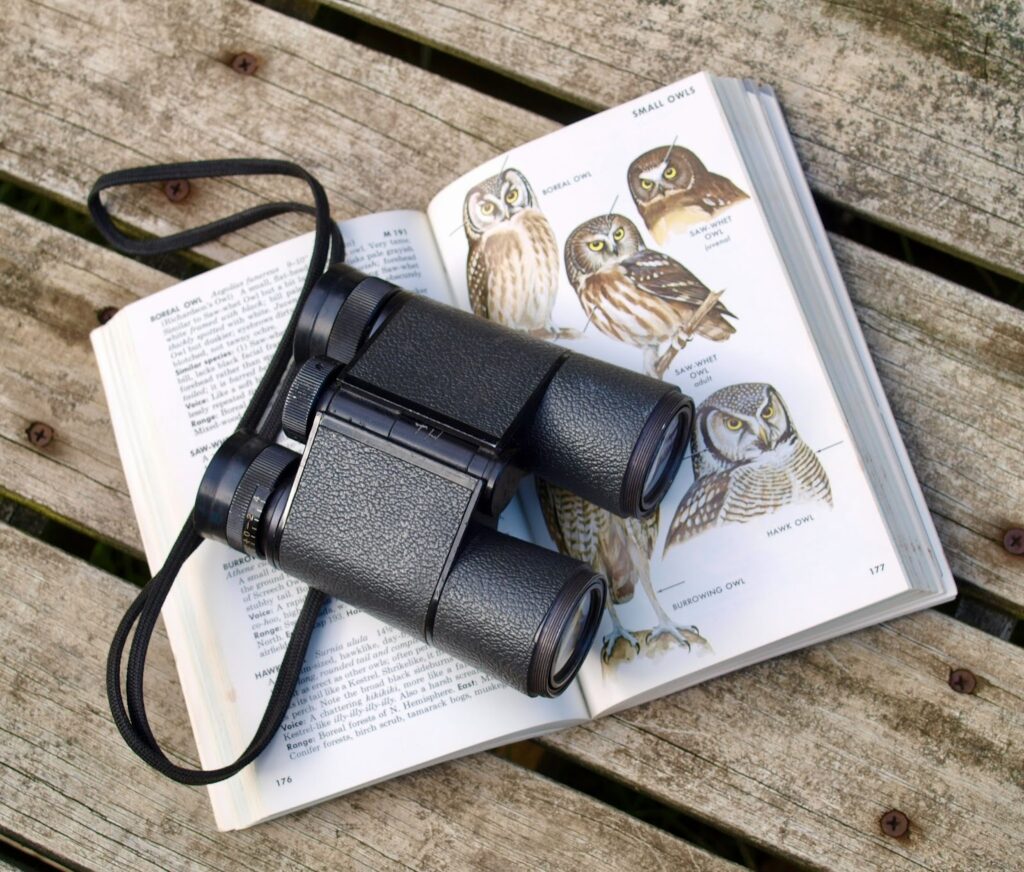 black binoculars resting on top of an open bird identification book. Both sitting on a wood plank table